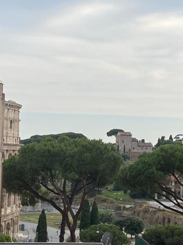 vistas a una ciudad con un árbol y edificios en IN FRONT OF COLISEUM 5, en Roma