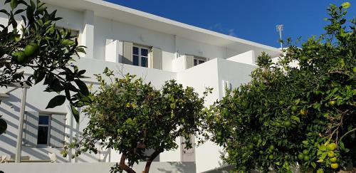 a white building with trees in front of it at Hotel Anezina in Drios