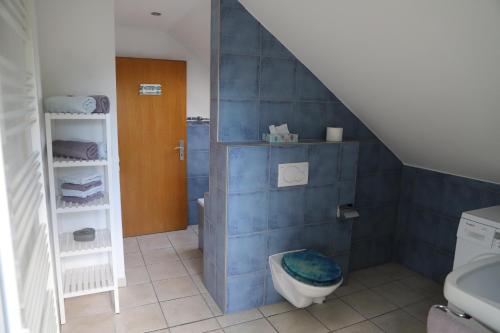 een badkamer met blauwe tegels en een toilet bij Ferienwohnung Schmidt im Haus Elisabeth in Feldberg