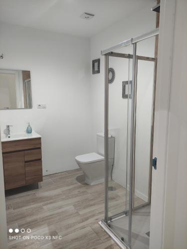 uma casa de banho com um WC e uma cabina de duche em vidro. em Apartamentos NayDa studio 1 em Mérida