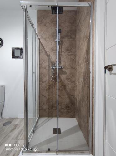 y baño con ducha y puerta de cristal. en Apartamentos NayDa studio 1 en Mérida