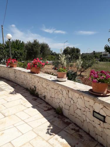 a stone retaining wall with potted plants on it at Trulli in Valle D'Itria in Cisternino