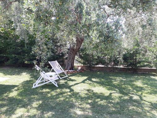 a white chair sitting in the grass under a tree at Villa Elia in Skala Sotiros