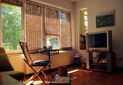 a living room with two windows and a television at Garden's apartman - Kosjerić in Kosjerić