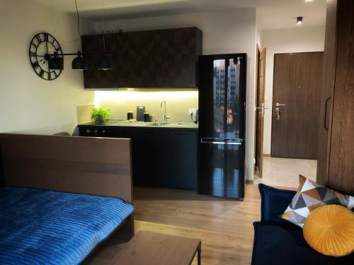 Kuchyň nebo kuchyňský kout v ubytování Apartament Centrum Bocian