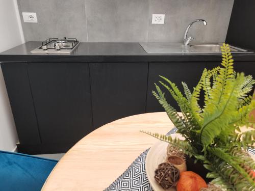 A kitchen or kitchenette at Cammileddi mini suite