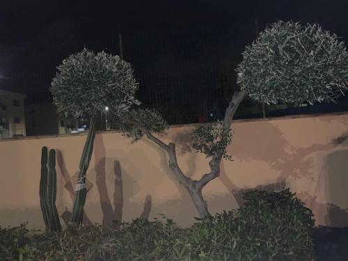 Κήπος έξω από το Appartamenti Siculiana