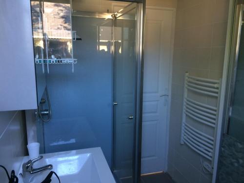 une salle de bain avec une douche en verre et un lavabo dans l'établissement Le tulipier, à Manneville-la-Raoult