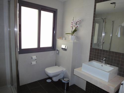 a bathroom with a toilet and a sink and a window at Hotel Avenida 31 in Marbella