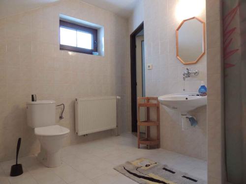 a bathroom with a toilet and a sink at Holiday home Sedlonov - Adlergebirge 949 in Sedloňov