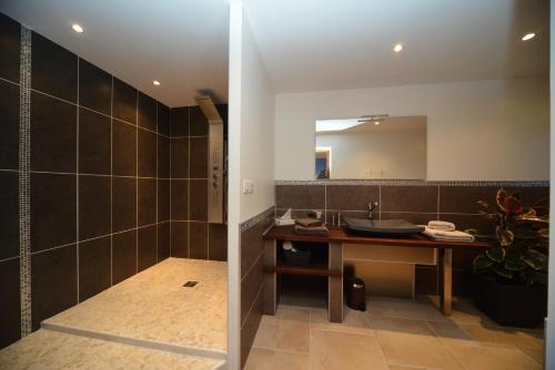 een badkamer met een wastafel en een spiegel bij Domaine de la Garde in Vonnas
