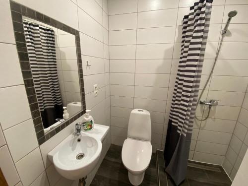 a bathroom with a sink and a toilet and a mirror at ApartHotel Riga in Rīga