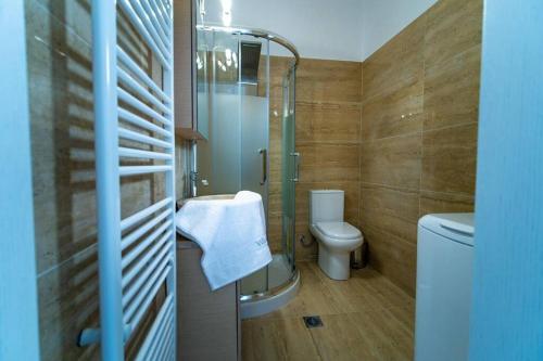 a bathroom with a toilet and a glass shower at Villa Clairy in Argalasti, Pelion in Argalasti