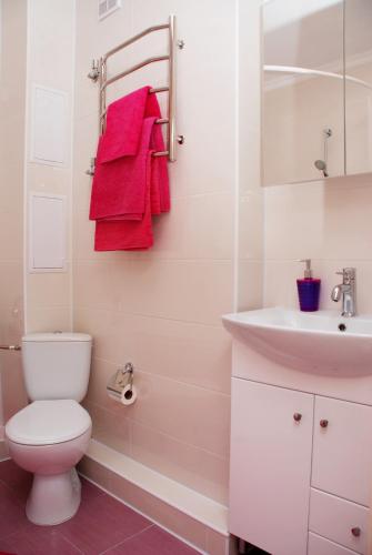 a bathroom with a white toilet and a sink at Apartments with Dnipro view in Kyiv