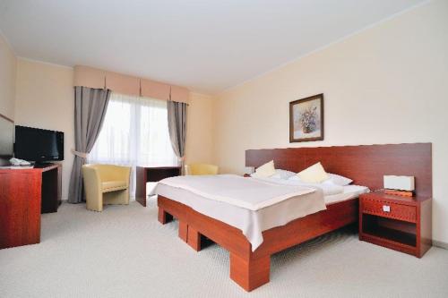 a hotel room with a bed and a television at Ośrodek Wypoczynkowy Ariston in Miłków