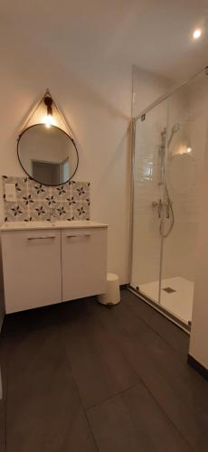 een badkamer met douche, wastafel en spiegel bij Riva Lodge in Saint-Aignan