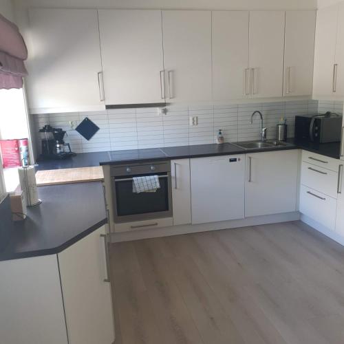 Kuchyň nebo kuchyňský kout v ubytování Mørkve Apartement