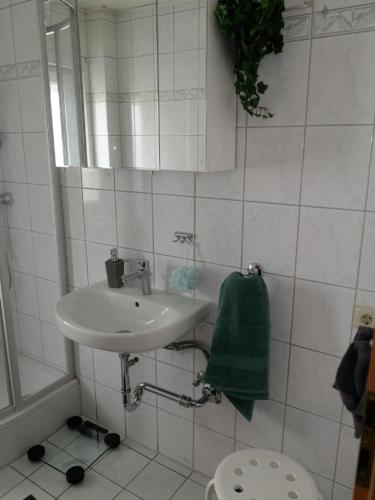 a bathroom with a sink and a green towel at Ferienwohnung Blumengarten in Marburg an der Lahn