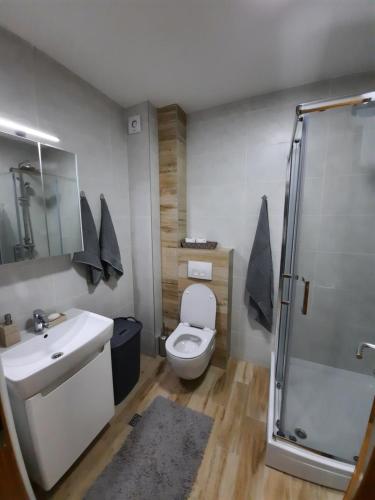 een badkamer met een toilet, een wastafel en een douche bij Apartman Bulevar Sarajevo - FREE PARKING in Sarajevo