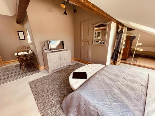 a bedroom with a bed and a tv in it at Gutshaus Klein kussewitz in Klein Kussewitz