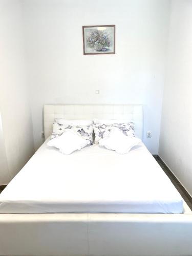 Apartment Zane Bacvice