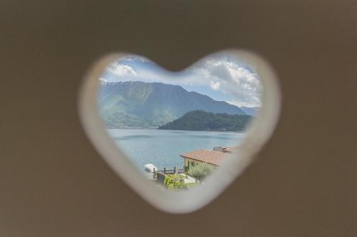 アパートメントの近くで見られる自然の景観