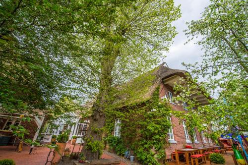 a tree growing on the side of a building at Hotel Gut Schöneworth in Freiburg - Elbe