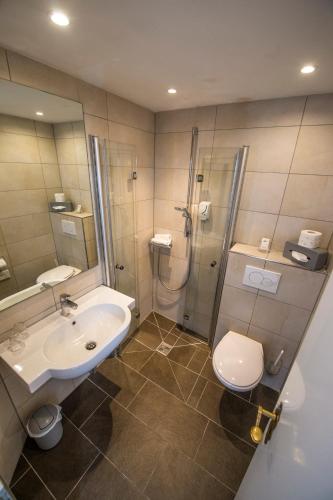 a bathroom with a sink and a shower and a toilet at Hotel Gut Schöneworth in Freiburg - Elbe