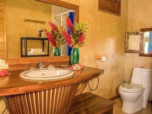 a bathroom with a sink and a toilet and a mirror at Fare Arearea in Faaone