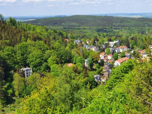 a small town in the middle of a forest at Waldhotel Friedrichroda in Friedrichroda