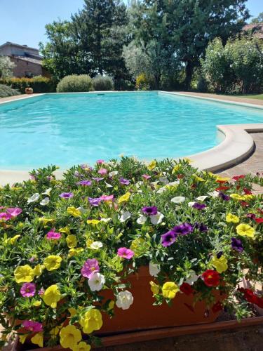 a pot of flowers next to a swimming pool at La Ginestra in Todi