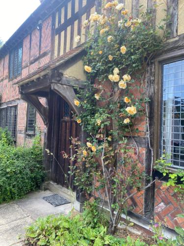 a plant with yellow flowers on the side of a building at Langshott Manor - Luxury Hotel Gatwick in Horley