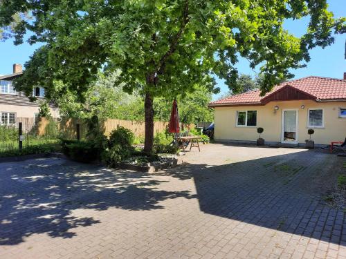 a patio with a tree and a house at Medijas in Saulkrasti