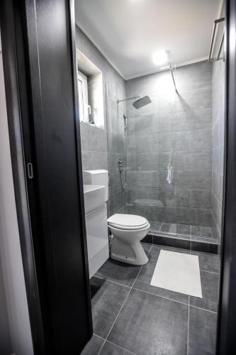 a bathroom with a toilet and a shower at Apartman277 Palić in Palić