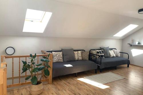 ein Wohnzimmer mit einem Sofa und einem Dachfenster in der Unterkunft Vaivari Retreat in Jūrmala