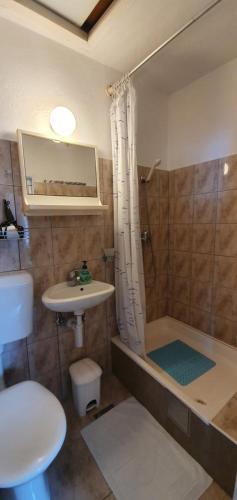 W łazience znajduje się prysznic, umywalka i toaleta. w obiekcie Apartments - 3 A beautiful apartment with a sea view w Hvarze