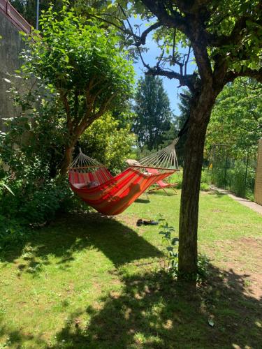a red hammock hanging from a tree in a yard at Les Chambres du Verger in Amiens