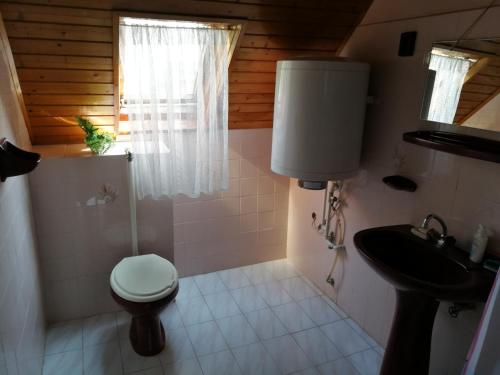 ein kleines Bad mit WC und Waschbecken in der Unterkunft Holiday House Retro in Szántód