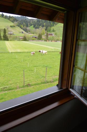 a window with a view of a field with cows at Hirschen Eggiwil in Eggiwil