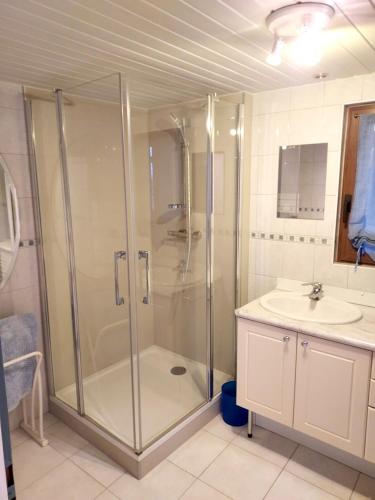 une salle de bain avec douche et lavabo dans l'établissement Maison accueillante dans Wingersheim-les-Quatre-Bans avec terrasse., à Wingersheim