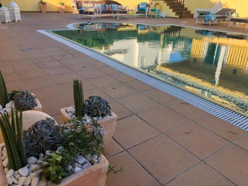 a swimming pool with cacti and plants next to it at Villa Mar Azul in Albufeira