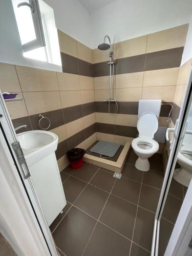 a bathroom with a toilet and a sink at Casa Roman II by the sea in Costinesti