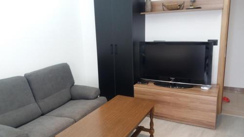 a living room with a couch and a flat screen tv at Apartments Grabovica in Bar