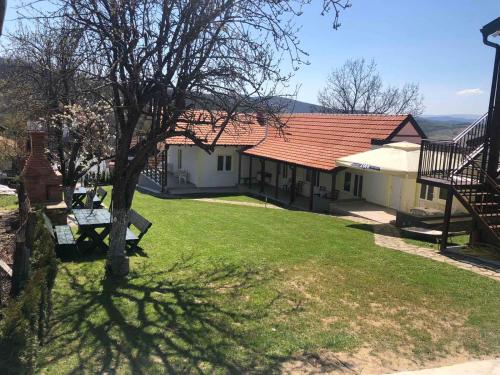 a house with a tree in the yard at Vila Zdravković Prolom Banja in Prolomska Banja