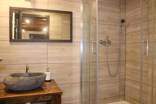 a bathroom with a sink and a shower at apartmány Kynast in Albrechtice v Jizerských horách