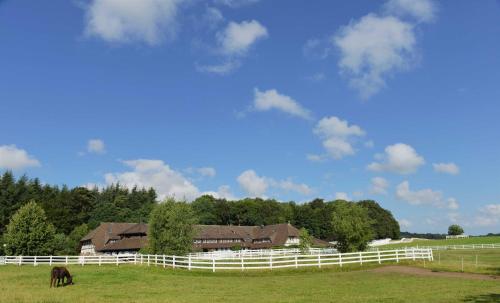 Ein Pferd weidet auf einem Feld mit einem weißen Zaun in der Unterkunft STöRTEBEKER APPARTEMENTS - "STöRTEBEKER PFERDEHOF" in Ralswiek