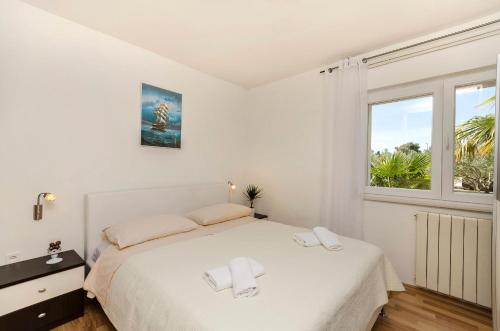Apartments Ante