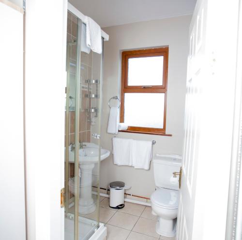 a bathroom with a toilet and a sink at Fort Conan Hotel in Duncannon