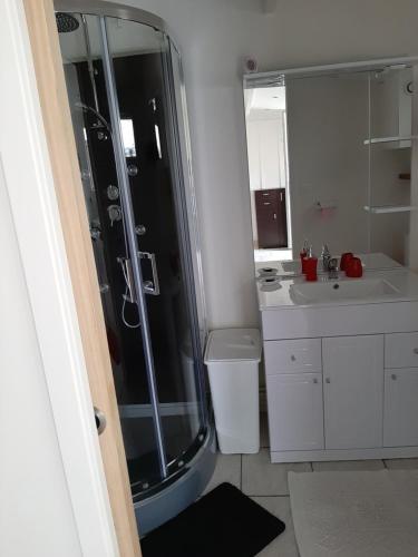 a bathroom with a shower and a sink at tres beau gite ,une ou deux personnes, super équipé 25m2 in Nogent-sur-Seine