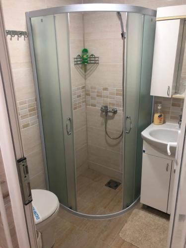 a bathroom with a shower with a toilet and a sink at Vila Zdravković Prolom Banja in Prolomska Banja